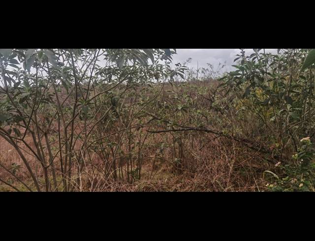 1,548M² VACANT LAND SOLD IN MERRIVALE